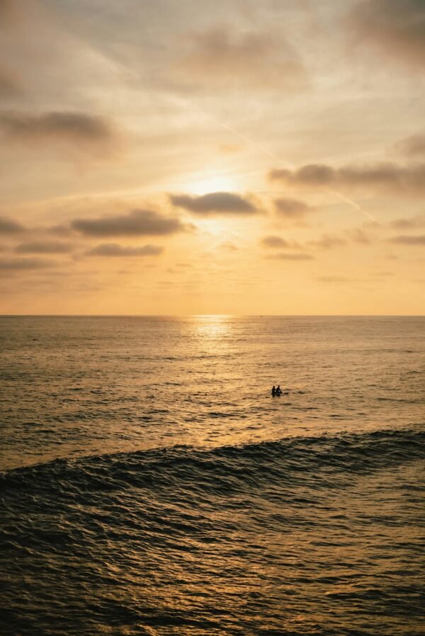 A surfer is in the ocean at sunset