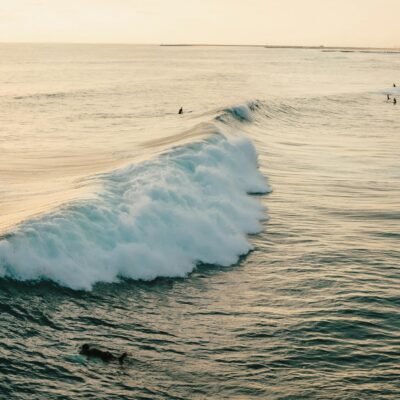 A surfer rides a wave at sunset