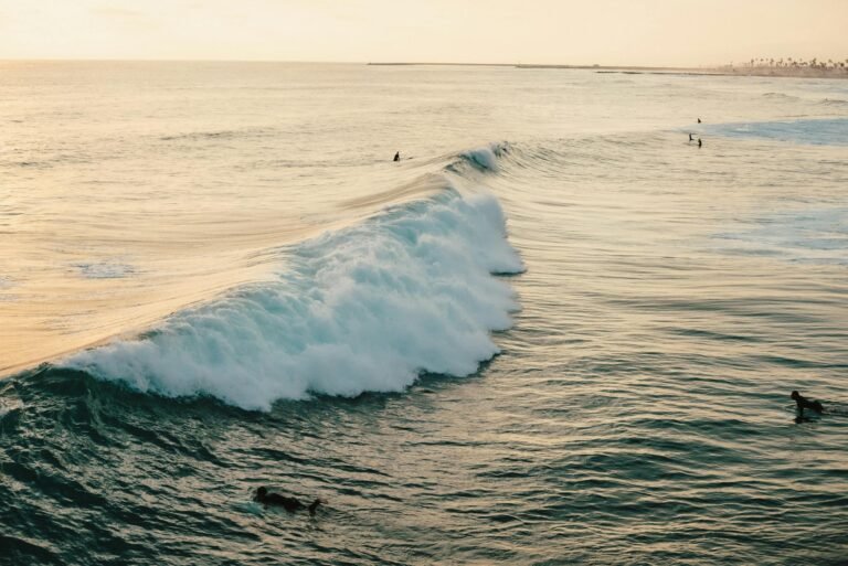 A surfer rides a wave at sunset